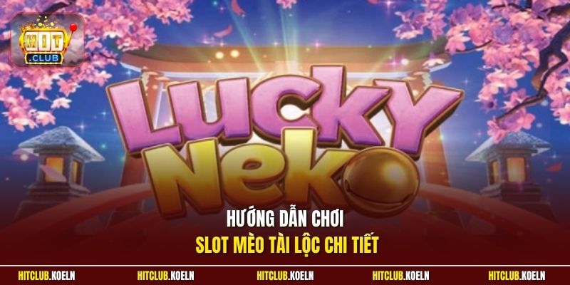 Hướng dẫn chơi slot Mèo Tài Lộc chi tiết